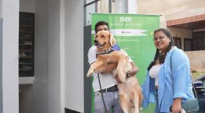 Best Pet Clinic in Jaipur – DCC Animal Hospital
