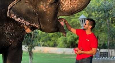 Discover Elefriendride – The Ethical Elephant Sanc