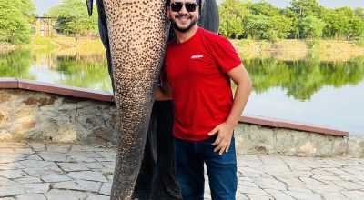 Elephant Rides in Jaipur: A Unique Experience at E