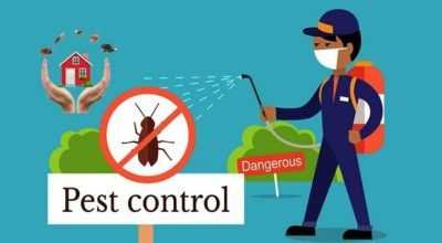 Professional Pest Control Services
