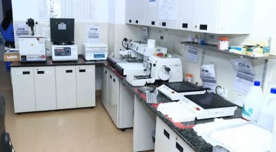 Blood Test in Gomti Nagar, Lucknow – Apex PathLabs