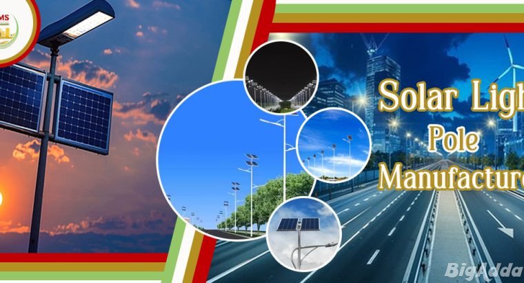 Eco-Friendly Lighting: Insights from Leading Solar