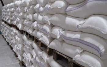 Whole Wheat flour