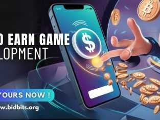Creating Engaging Tap-to-Earn Games with BidBits