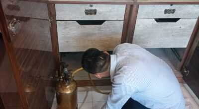 Pest control services for termite