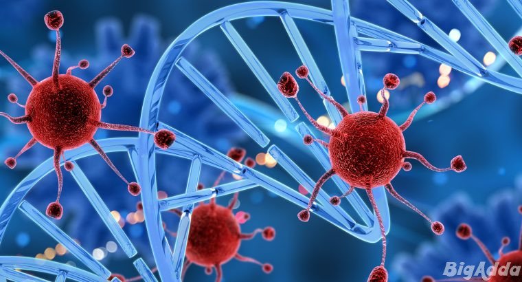 Life Science & Thermo Fisher Products Distributor