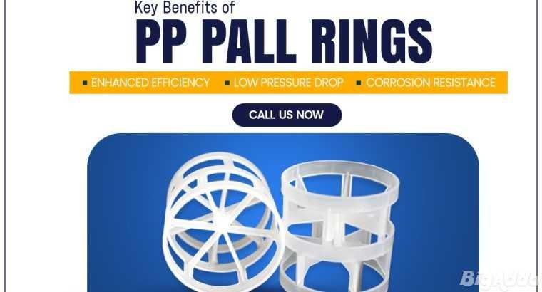 High-Quality PP Pall Rings from SKJ Group