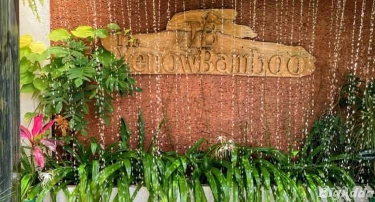 Coorg resorts with pool | Resorts in coorg with sw