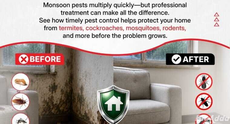 Deccan Pest Control Services in Hyderabad