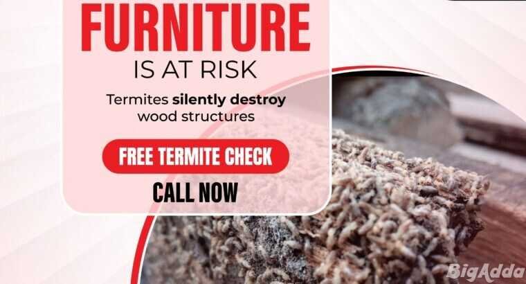 Best Termite Control Services in Hyderabad