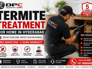 Best Termite Control Services in Hyderabad