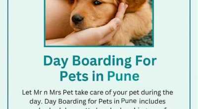 Day Boarding for Pets in Pune