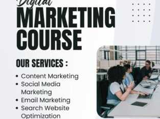 Best Digital Training Institute in Delhi