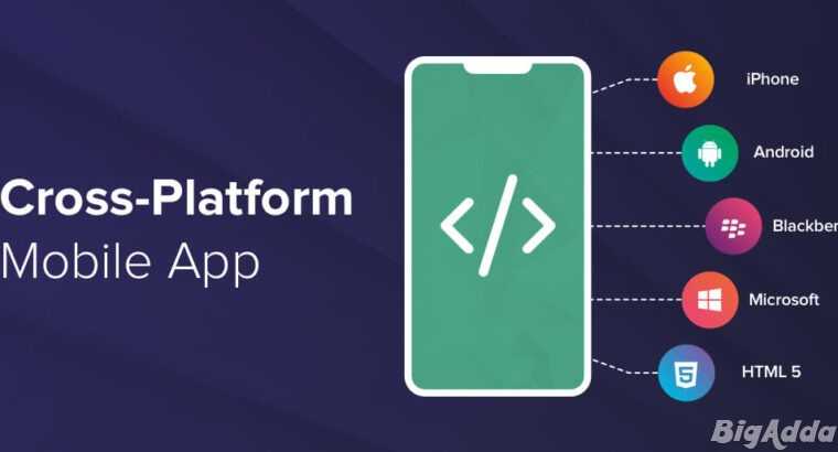 cross platform mobile app development company