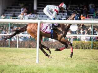 Smart Horse Racing Odds API – Real-Time Data booki