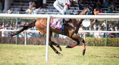Smart Horse Racing Odds API – Real-Time Data booki