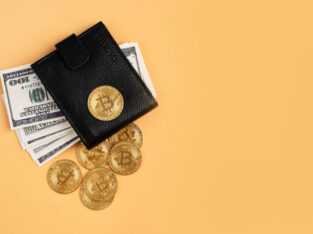Custom Cryptocurrency Wallet Development Company