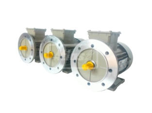 Three Phase Motor Manufacturer in Ahmedabad
