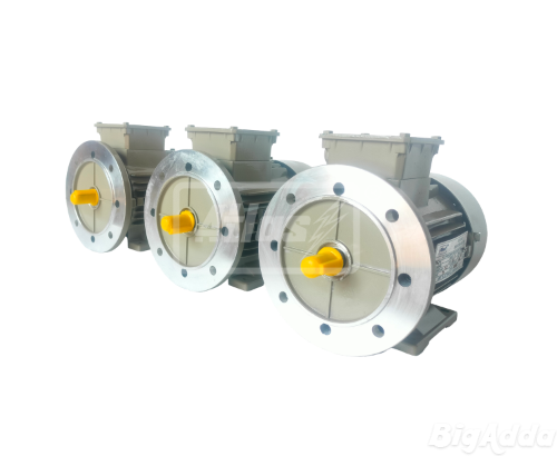 Three Phase Motor Manufacturer in Ahmedabad