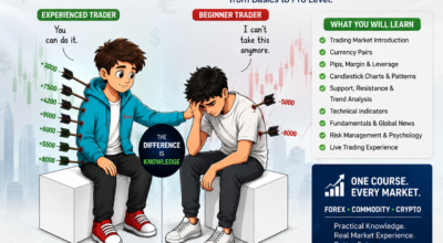 Vertex Academy Chart Pattern Training