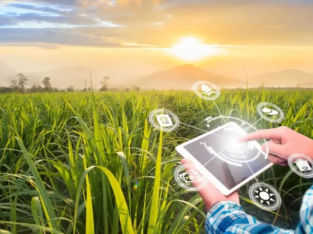 Agriculture Software Solutions Bangalore | Agri Te