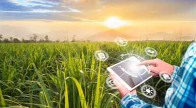 Agriculture Software Solutions Bangalore | Agri Te