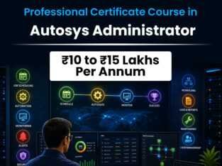 AutoSys Admin Training | What It Takes to Master E