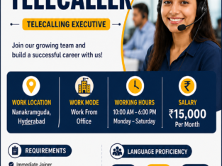 TELECALLING EXECUTIVE