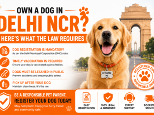 Pet Registration in Delhi