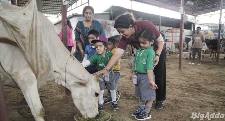 Cow Donation Seva Online