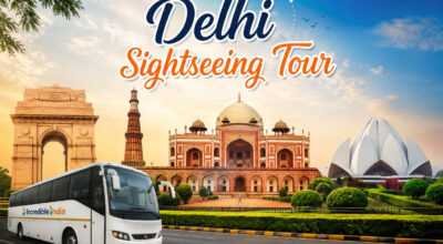 Book Best Delhi Sightseeing Tour Online