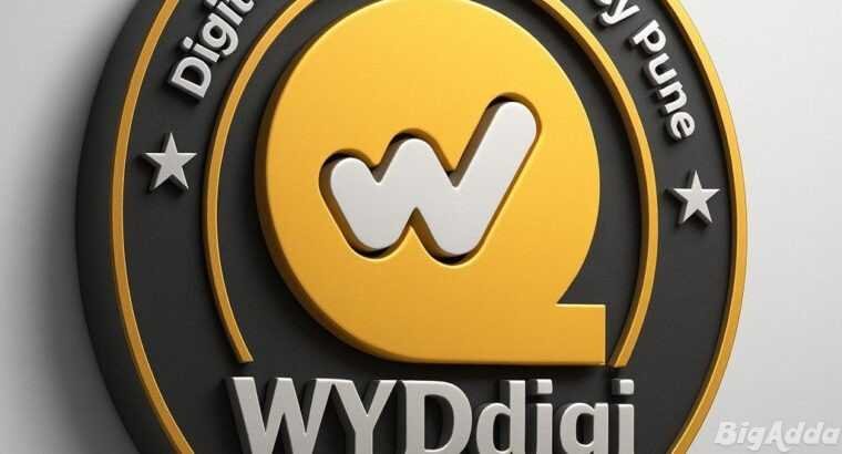 WYDdigi Agency – Digital Marketing & SEO Company i