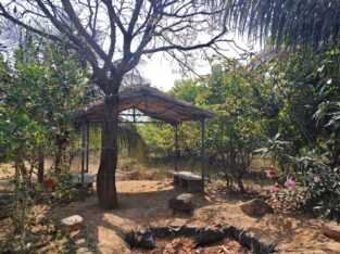 10Acres,Lakeside Agriculture land, Tar Road facing