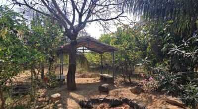 10Acres,Lakeside Agriculture land, Tar Road facing