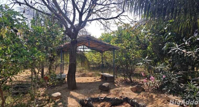 10Acres,Lakeside Agriculture land, Tar Road facing