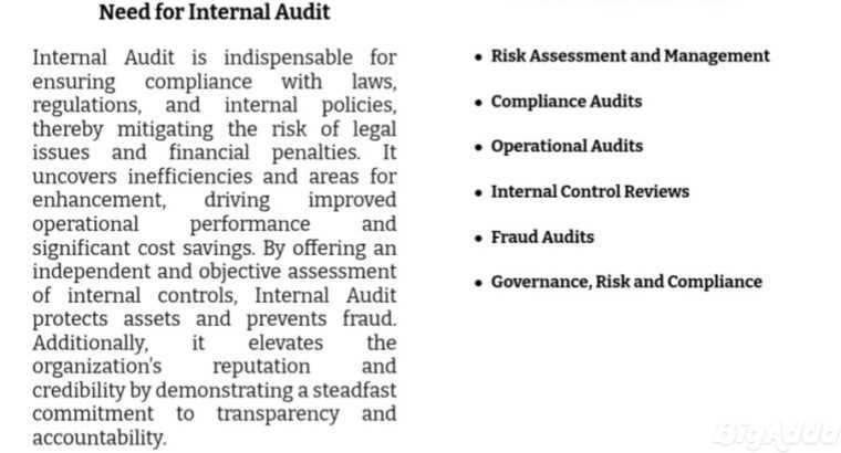 Internal Audit Services