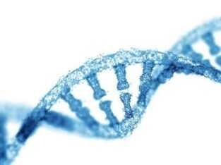 Whole Exome Sequencing Service provider
