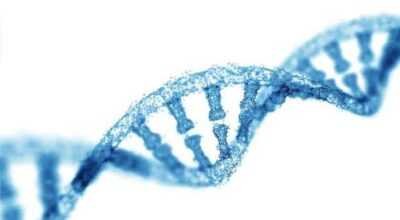 Whole Exome Sequencing Service provider