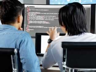 Professional Web Development Company in Indore