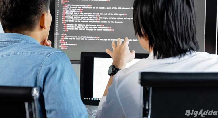 Professional Web Development Company in Indore