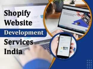 Shopify Website Development Services India
