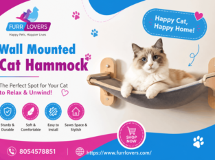 Wall Mounted Cat Hammock Online