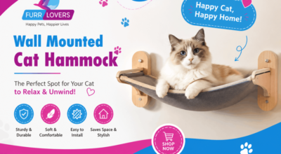 Wall Mounted Cat Hammock Online