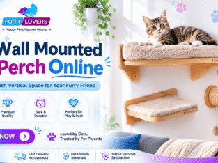 Buy Wall Mounted Cat Perch Online
