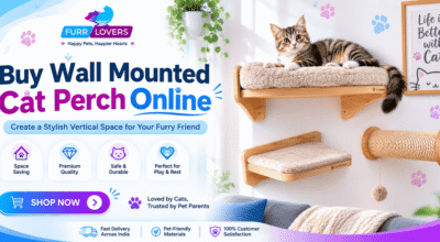 Buy Wall Mounted Cat Perch Online
