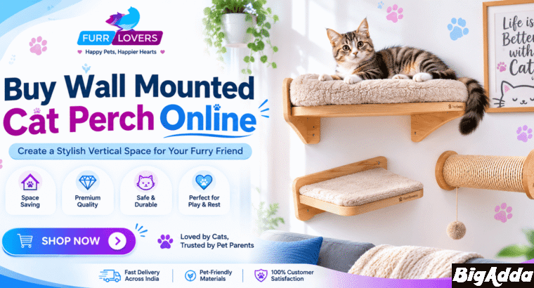 Buy Wall Mounted Cat Perch Online