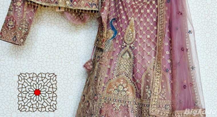 Janvi Aika Traditional Party Wears