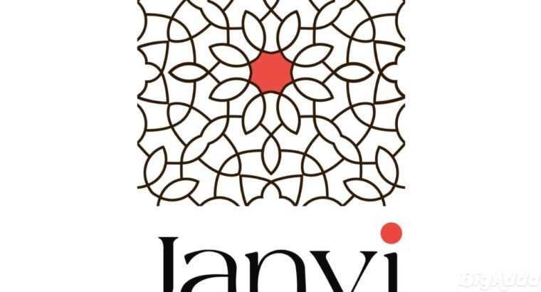 Janvi Aika Traditional Party Wears