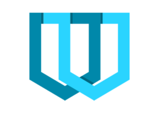 Affordable Online Will Writing India | WiserWill