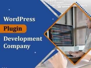 WordPress Plugin Development Company